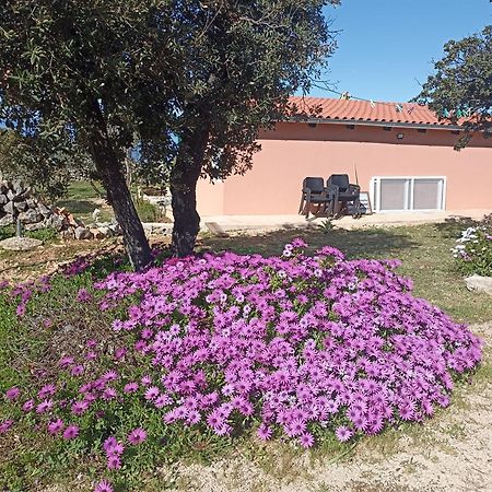 App Bonic Apartment Veli Losinj Bagian luar foto