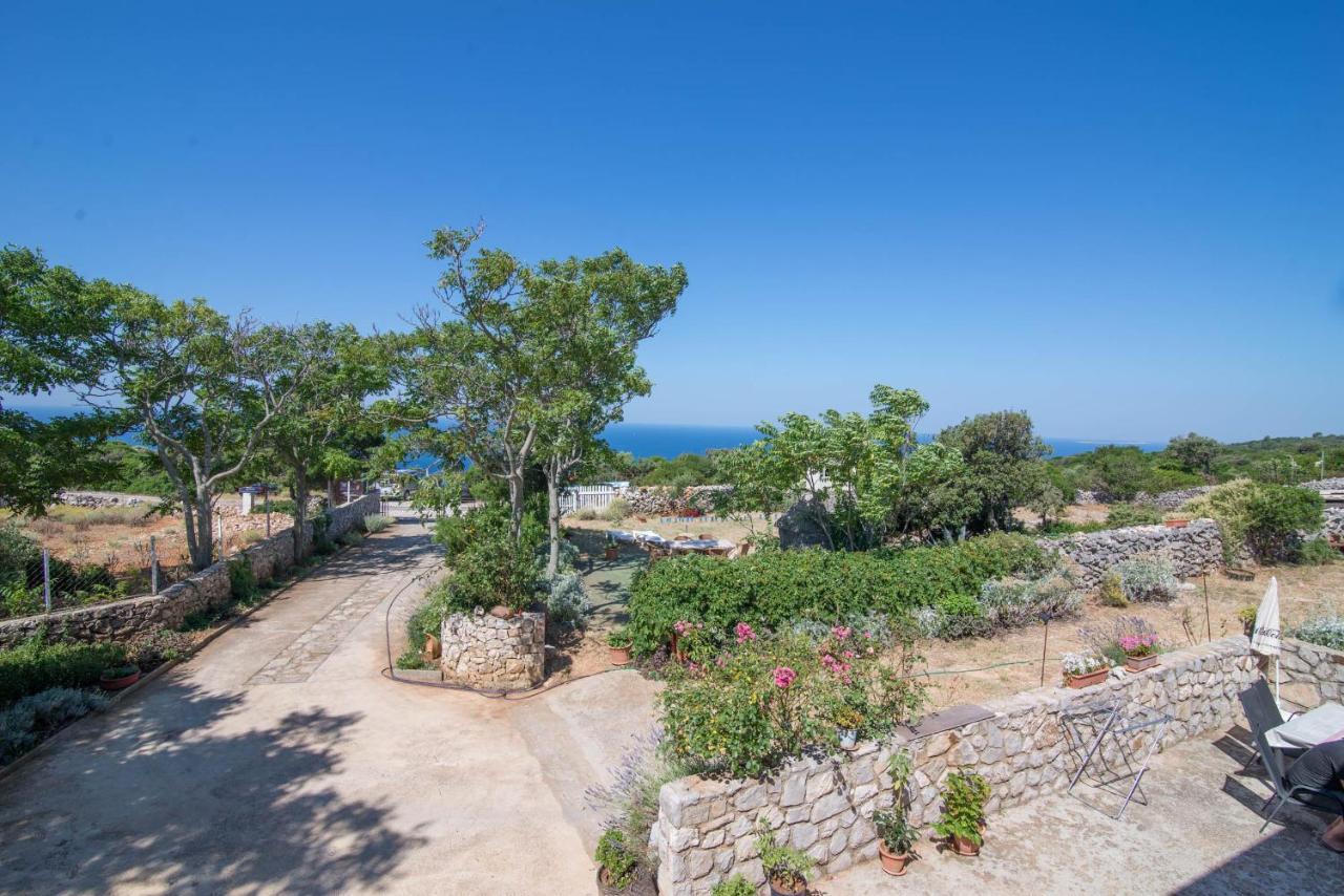 App Bonic Apartment Veli Losinj Bagian luar foto