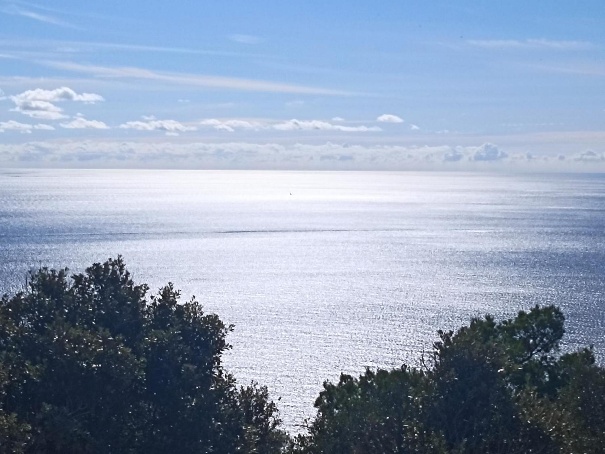 App Bonic Apartment Veli Losinj Bagian luar foto