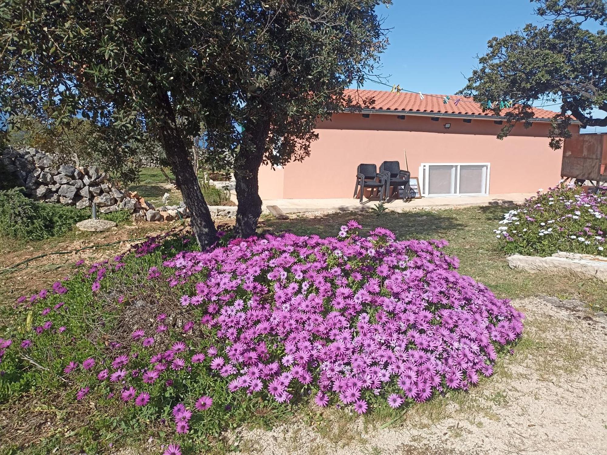 App Bonic Apartment Veli Losinj Bagian luar foto